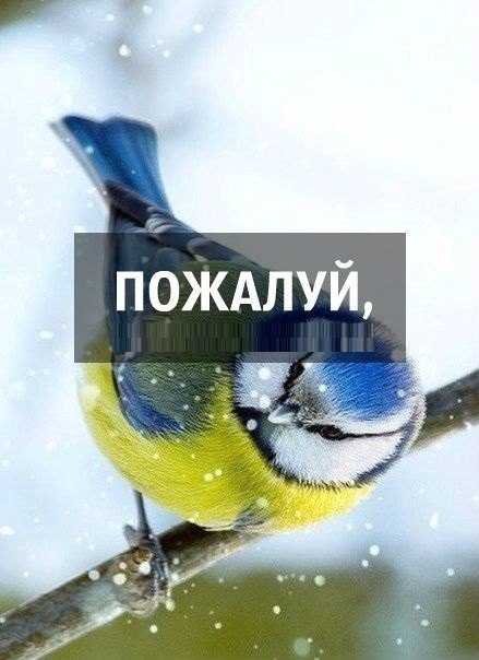    - 26  2025  20:47 - 2