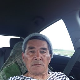 , 54, 