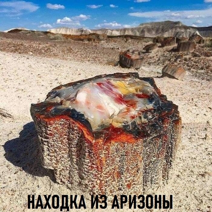 ���������� ����������� ������� ��������� � ����������� ������� ������������ � �������� ��������. ... - 2