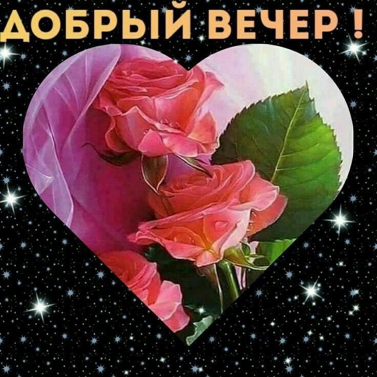   ,    . - 8  2024  18:21 - 7