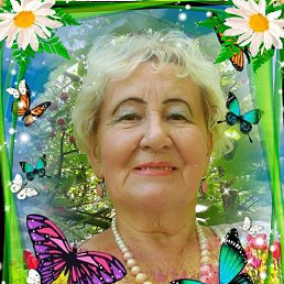 , 66, 
