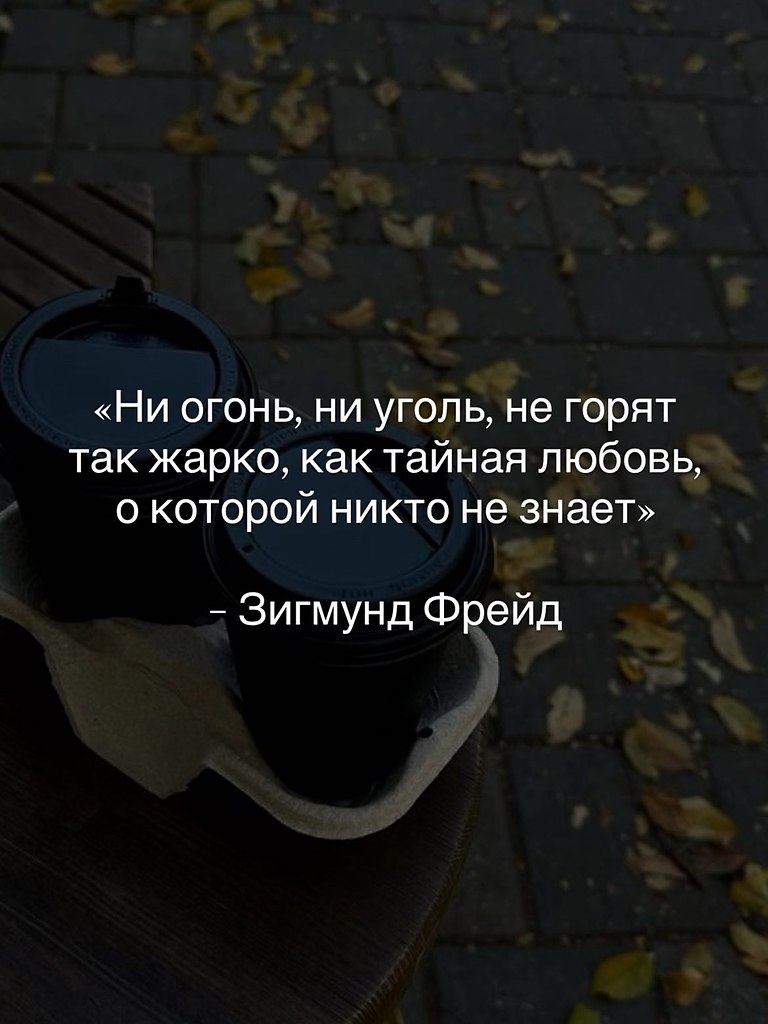������ ����� - 12 ������� 2026 � 22:19 - 4