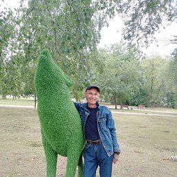 ��������, 59 ���, �����������