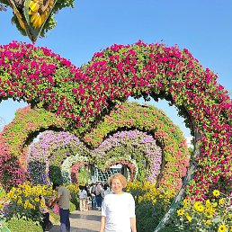 ����, ��������