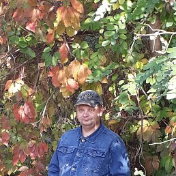 , 40, 
