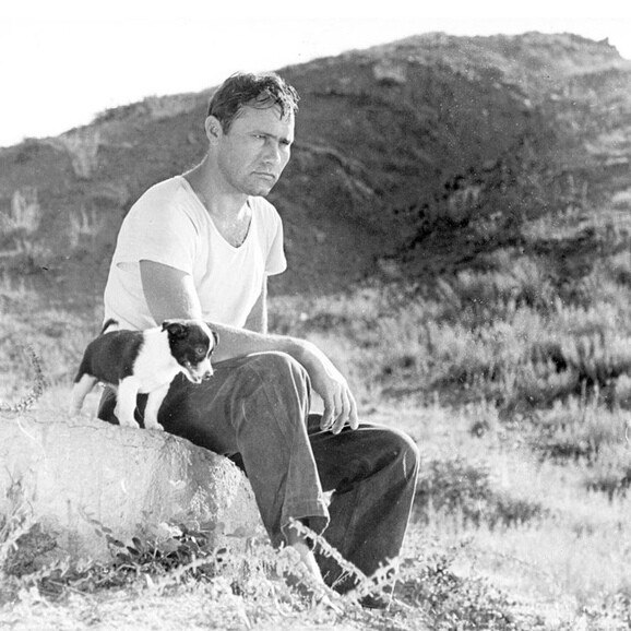 51  , 2  1974 ,      .      ...