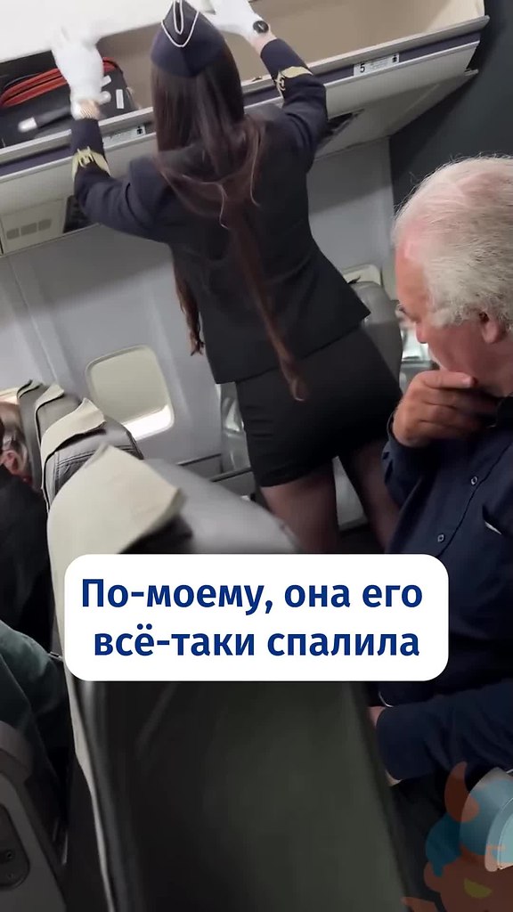 Старый лев изучает свою добычу