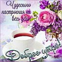 ���� ������, ��������, 104 ���� - ��������� 12 ������ 2025 � ������ ������ ��������