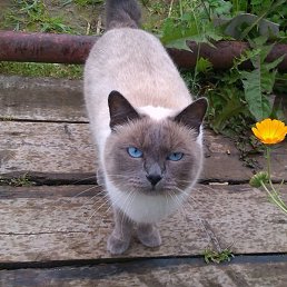 ����, �����-��������, 64 ����