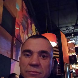 �����, 33 ����, ���������