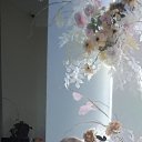 ���� �����, �������� - ��������� 10 ������ 2024 � ������ ���� ����������
