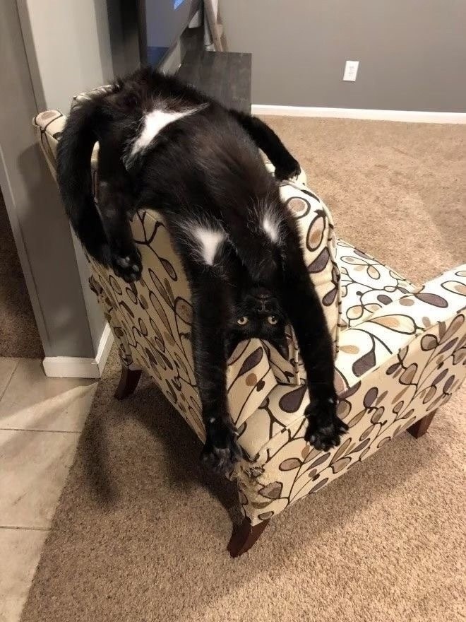 :   .: - 3