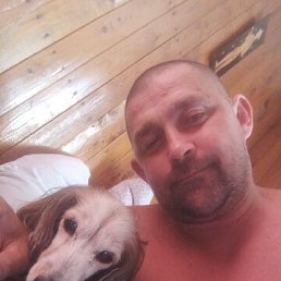, 40 , 