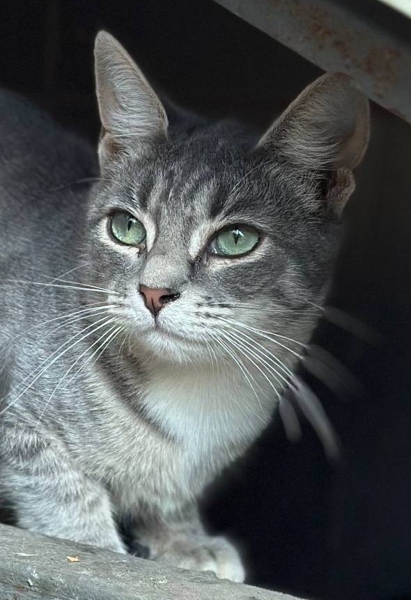 , . , .  ,  ,      .   ...