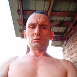 ����, 46 ���, �����������