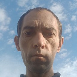 ������, ������, 41 ���