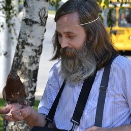 ��������, ���������, 59 ���