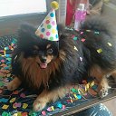 ���� ���������, ������ - ��������� 10 ���� 2026 � ������ ������ ��������