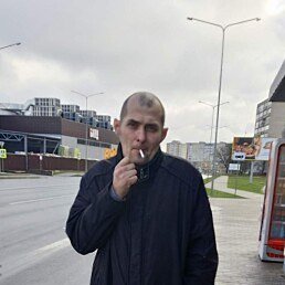 �������, �����, 41 ���