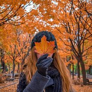 �����, 44 ����, �����-���������