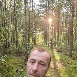 , 46, 
