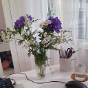 ���� ��� ., �����, 72 ���� - ��������� 15 ���� 2026 � ������ ���� ����������