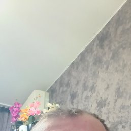 ������, 48 ���, ���������