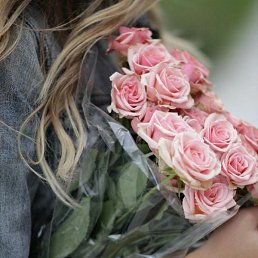 ���������, �����������, 37 ���