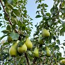 ���� ������, �����������, 48 ��� - ��������� 1 �������� 2025 � ������ ���� ����������