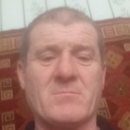 �����, ������, 54 ����