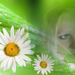 �����, ������, 45 ���