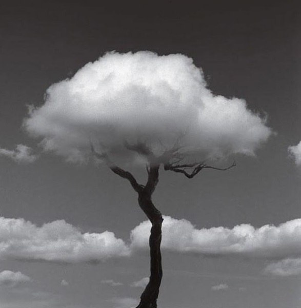    a e c .       , ... - 5