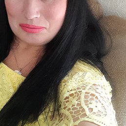 ����, �����������, 53 ����