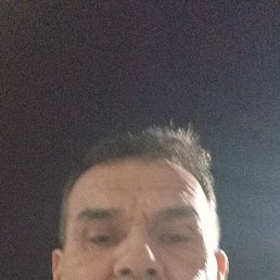 , 44, 