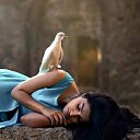  *~-N*~*o-~*,  -  7  2025    