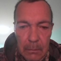 ������, ���������, 56 ���