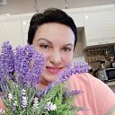 ���� �������, ��������, 72 ���� - ��������� 25 ������ 2023 � ������ ���� ����������