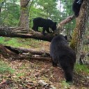 �����������. ������� ��������� ������� ������� �� ������� ���� ��������� ���� ���