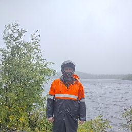 �����, ��������, 36 ���