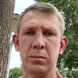 �������, ������, 44 ����