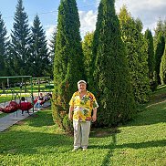 , 52 , 