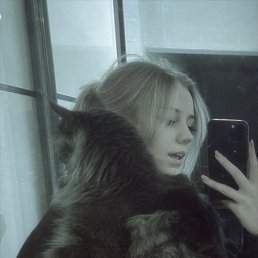 , 22 , -