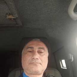, 53 , 
