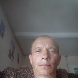 , 41, 
