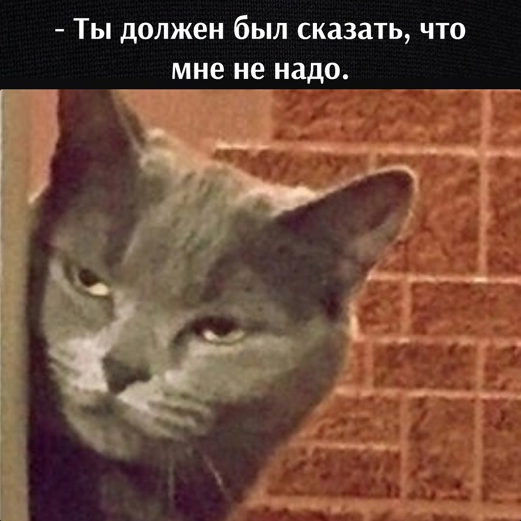       - 20  2025  19:26 - 3