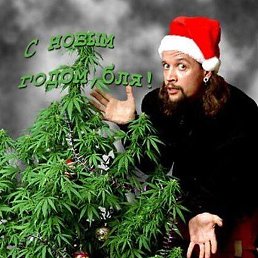 ����, �����������, 27 ���