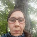 ���� �����, ��������, 39 ��� - ��������� 5 ������� 2026