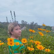 , 38 , 