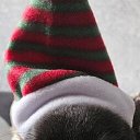 ���� Natalia, ������, 55 ��� - ��������� 28 ������� 2023 � ������ ���� ����������