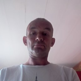 , 43 , 